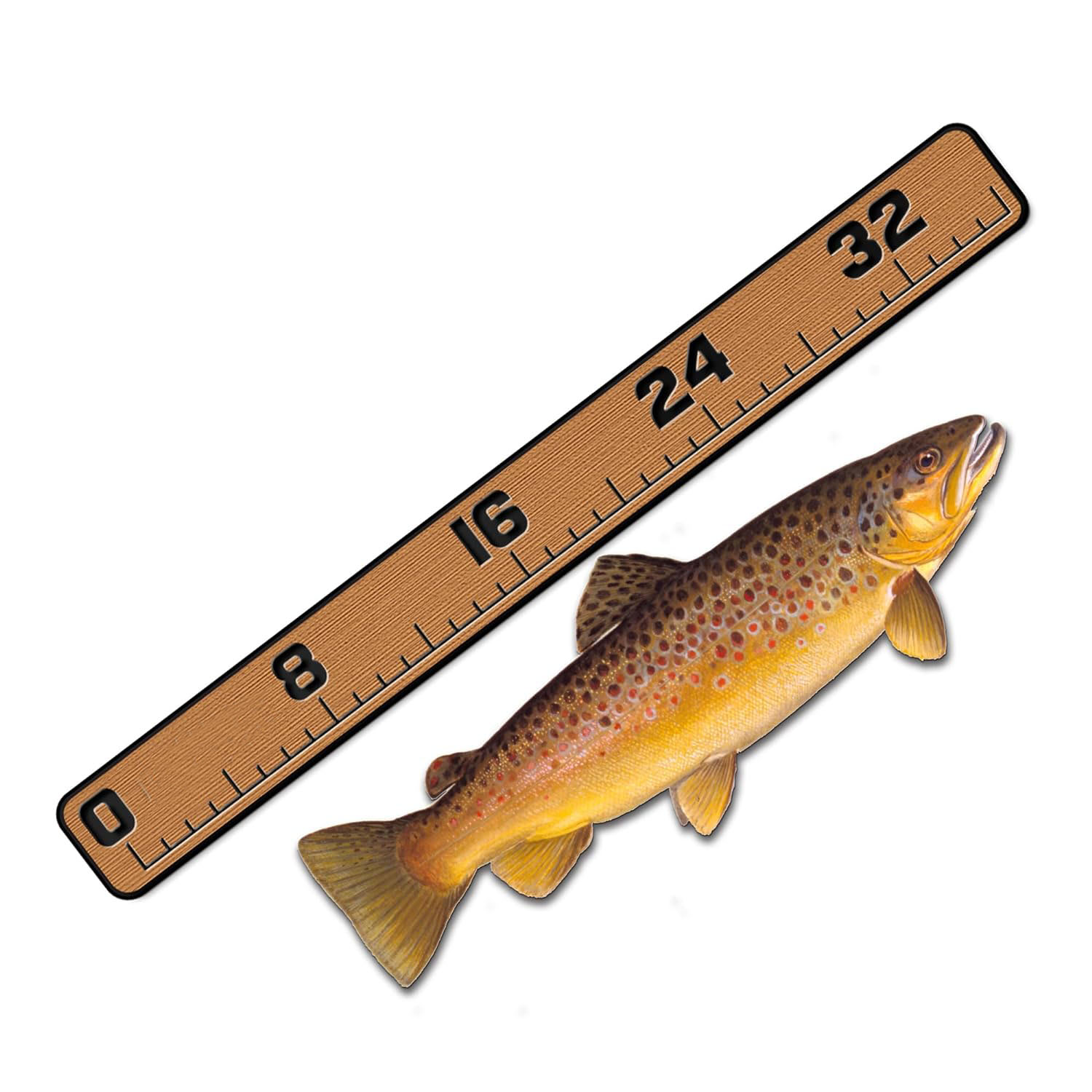 Régua de Peixe EVA